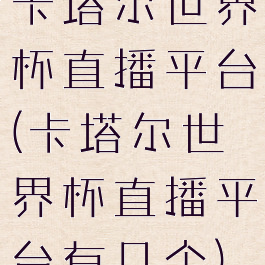 卡塔尔世界杯直播平台(卡塔尔世界杯直播平台有几个)