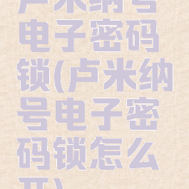 卢米纳号电子密码锁(卢米纳号电子密码锁怎么开)
