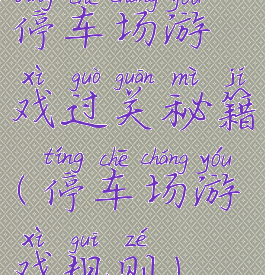 停车场游戏过关秘籍(停车场游戏规则)