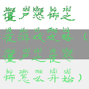 僵尸恐怖之夜游戏攻略(僵尸之夜恐怖怎么开始)
