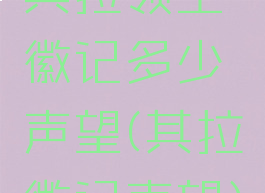 其拉领主徽记多少声望(其拉徽记声望)