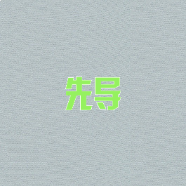 先导