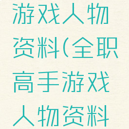 全职高手游戏人物资料(全职高手游戏人物资料大全)