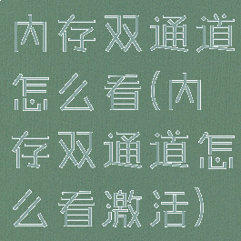 内存双通道怎么看(内存双通道怎么看激活)