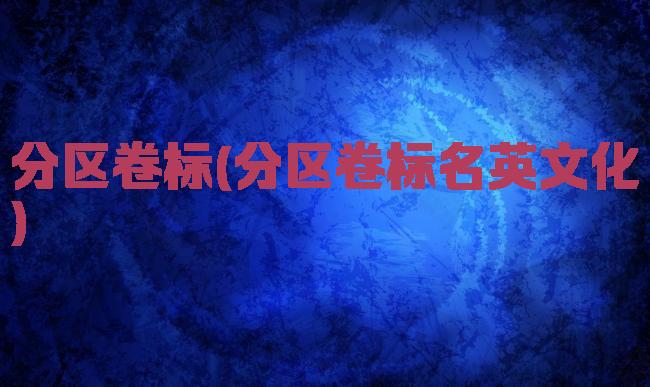 分区卷标(分区卷标名英文化)