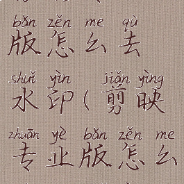 剪影专业版怎么去水印(剪映专业版怎么去除水印)