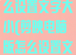 剪映电脑版怎么设置文字大小(剪映电脑版怎么设置文字大小一致)