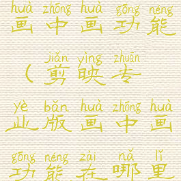 剪映专业版画中画功能(剪映专业版画中画功能在哪里)