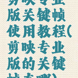 剪映专业版关键帧使用教程(剪映专业版的关键帧在哪)