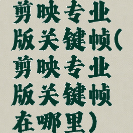 剪映专业版关键帧(剪映专业版关键帧在哪里)