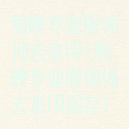 剪映专业版如何去水印(剪映专业版如何去水印保存)