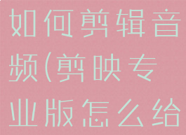 剪映专业版如何剪辑音频(剪映专业版怎么给视频配音)