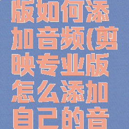剪映专业版如何添加音频(剪映专业版怎么添加自己的音乐)