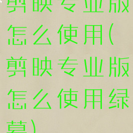 剪映专业版怎么使用(剪映专业版怎么使用绿幕)