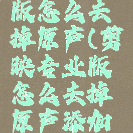 剪映专业版怎么去掉原声(剪映专业版怎么去掉原声添加新声)