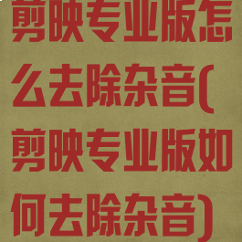 剪映专业版怎么去除杂音(剪映专业版如何去除杂音)