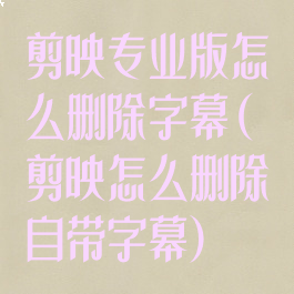 剪映专业版怎么删除字幕(剪映怎么删除自带字幕)