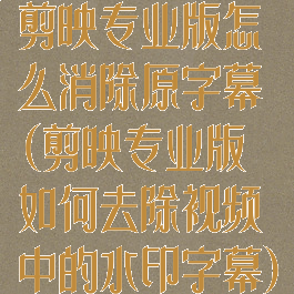 剪映专业版怎么消除原字幕(剪映专业版如何去除视频中的水印字幕)