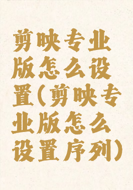 剪映专业版怎么设置(剪映专业版怎么设置序列)