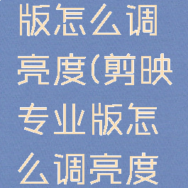 剪映专业版怎么调亮度(剪映专业版怎么调亮度和亮度)