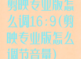 剪映专业版怎么调16:9(剪映专业版怎么调节音量)