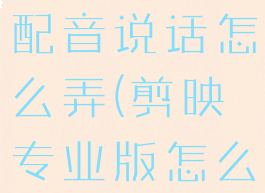 剪映专业版配音说话怎么弄(剪映专业版怎么变声)