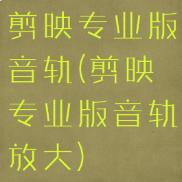 剪映专业版音轨(剪映专业版音轨放大)