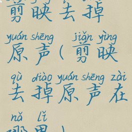 剪映去掉原声(剪映去掉原声在哪里)