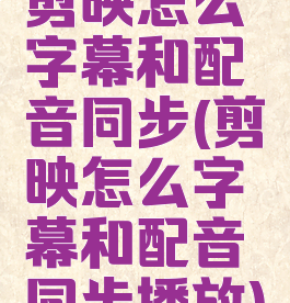 剪映怎么字幕和配音同步(剪映怎么字幕和配音同步播放)