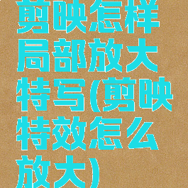 剪映怎样局部放大特写(剪映特效怎么放大)