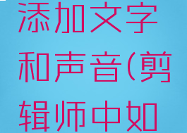 剪辑师怎么给视频添加文字和声音(剪辑师中如何给视频加字幕)