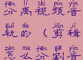 剪辑师怎么分离视频音轨的(剪辑怎么分割音乐)