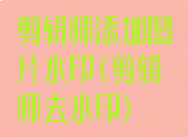 剪辑师添加图片水印(剪辑师去水印)