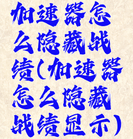 加速器怎么隐藏战绩(加速器怎么隐藏战绩显示)