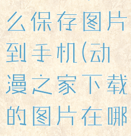 动漫之家怎么保存图片到手机(动漫之家下载的图片在哪)