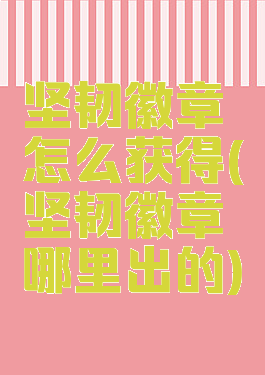 坚韧徽章怎么获得(坚韧徽章哪里出的)