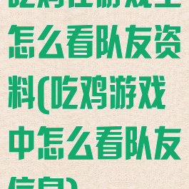 吃鸡在游戏里怎么看队友资料(吃鸡游戏中怎么看队友信息)