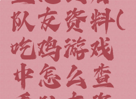 吃鸡游戏里怎么看队友资料(吃鸡游戏中怎么查看队友资料)