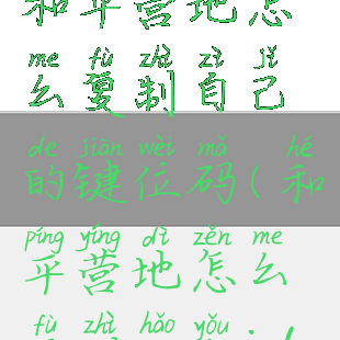 和平营地怎么复制自己的键位码(和平营地怎么复制好友id)