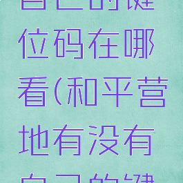 和平营地自己的键位码在哪看(和平营地有没有自己的键位码)