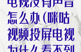 咪咕视频投屏电视没有声音怎么办(咪咕视频投屏电视为什么看不到影像)