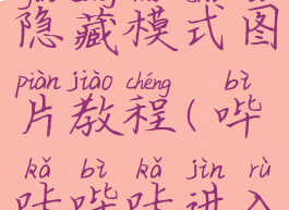 哔咔进入隐藏模式图片教程(哔咔哔咔进入隐藏界面)