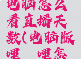 哔哩哔哩电脑怎么看直播天数(电脑版哔哩哔哩怎么看直播)