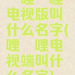 哔哩哔哩电视版叫什么名字(哔哩哔哩电视端叫什么名字)