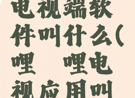 哔哩哔哩电视端软件叫什么(哔哩哔哩电视应用叫什么)