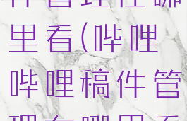 哔哩哔哩稿件管理在哪里看(哔哩哔哩稿件管理在哪里看视频)