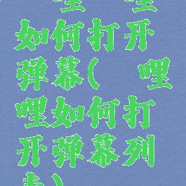 哔哩哔哩如何打开弹幕(哔哩哔哩如何打开弹幕列表)