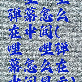 哔哩哔哩弹幕怎么在中间(哔哩哔哩弹幕怎么在中间显示)