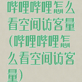 哔哩哔哩怎么看空间访客量(哔哩哔哩怎么看空间访客量)