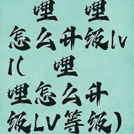 哔哩哔哩怎么升级lv1(哔哩哔哩怎么升级LV等级)